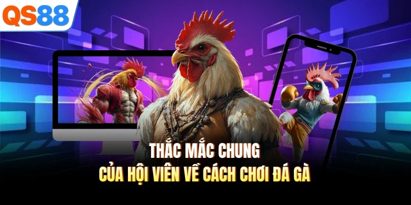 thac mac chung cua hoi vien ve cach choi da ga Thắc mắc chung của hội viên về cách chơi đá gà